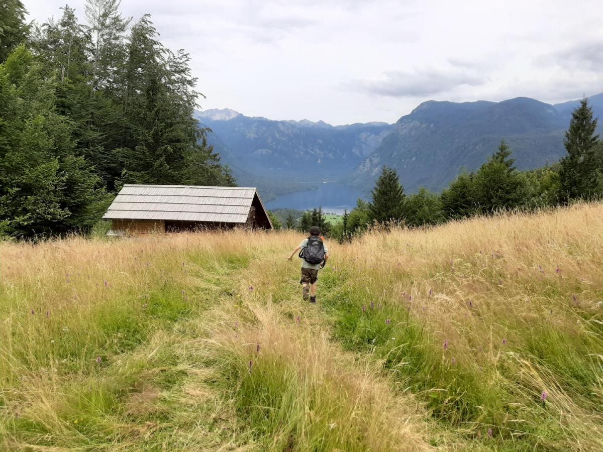 Chalet Pr Dobravc Bohinj Eksteriør bilde