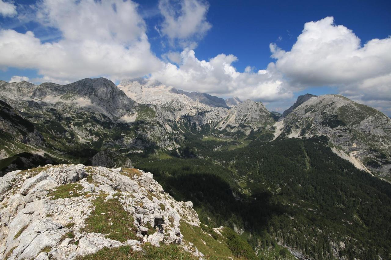 Chalet Pr Dobravc Bohinj Eksteriør bilde