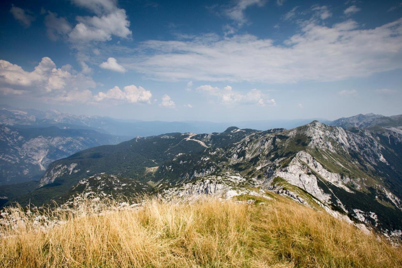 Chalet Pr Dobravc Bohinj Eksteriør bilde