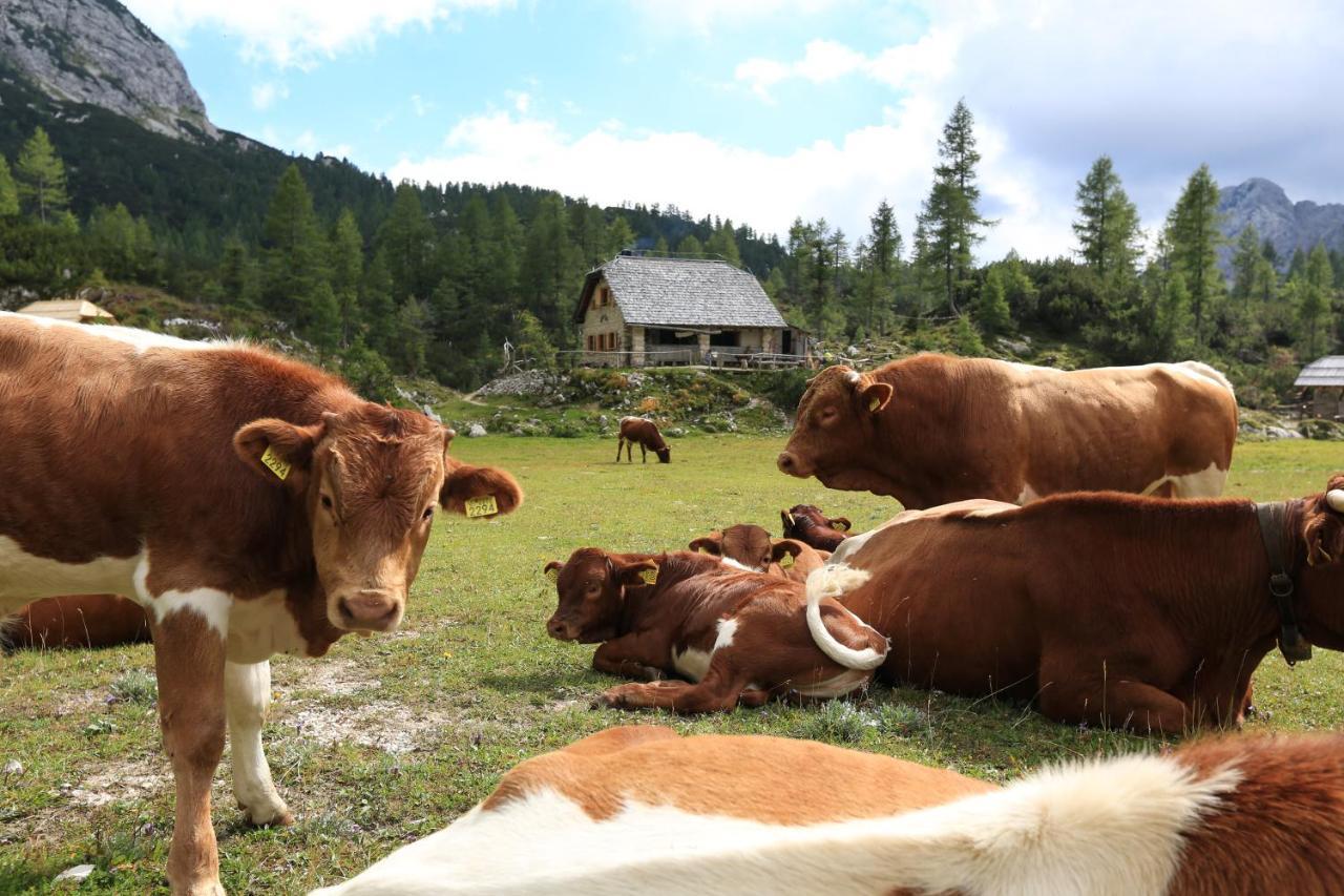 Chalet Pr Dobravc Bohinj Eksteriør bilde